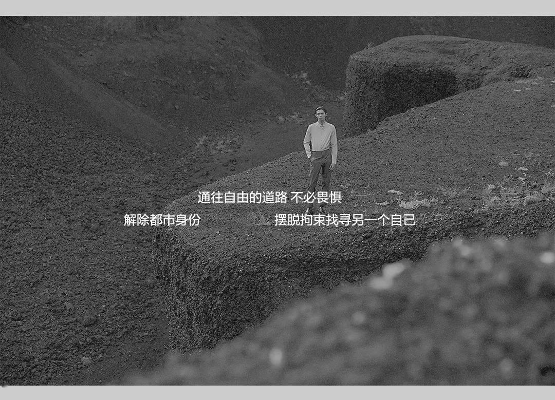 拯救机灵鸟
